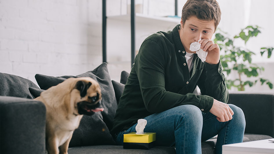 Getting an air purifier is one of the best ways to enhance your house’s indoor air quality. Learn more about the three best solutions. 